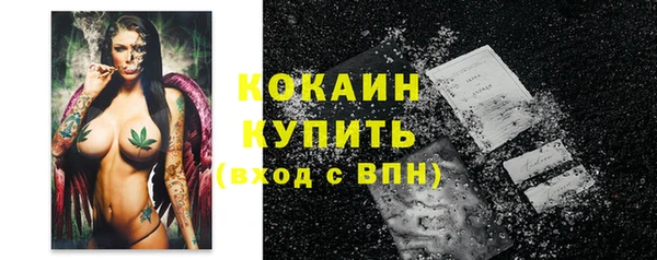соль ск Горно-Алтайск