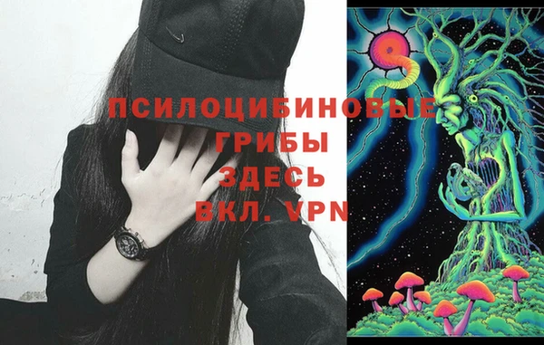 соль ск Горно-Алтайск