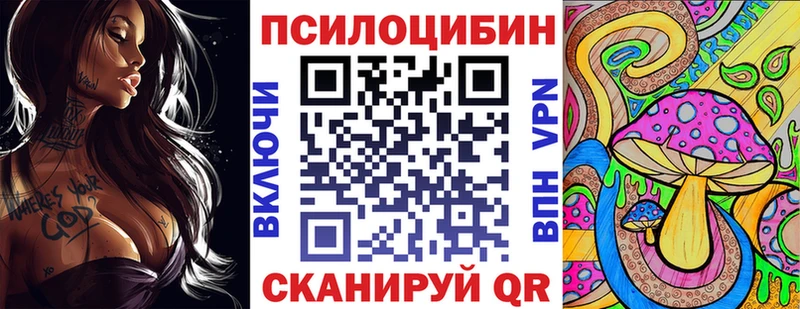купить  сайты  Дальнереченск  Псилоцибиновые грибы Psilocybe 
