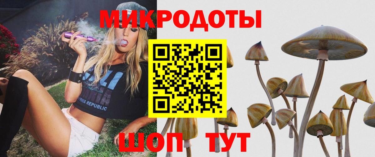 Дальнереченск  Псилоцибиновые грибы Magic Shrooms  Вход с VPN  Псилоцибиновые грибы мухоморы 