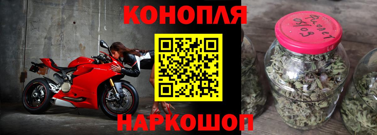 Бошки Шишки гибрид Дальнереченск